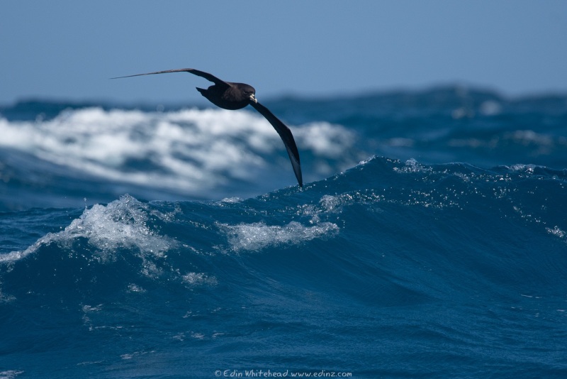 241214-EDZ_3845WEB