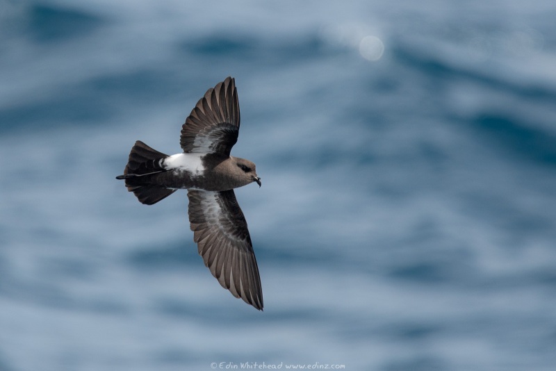 241214-EDZ_4109WEB