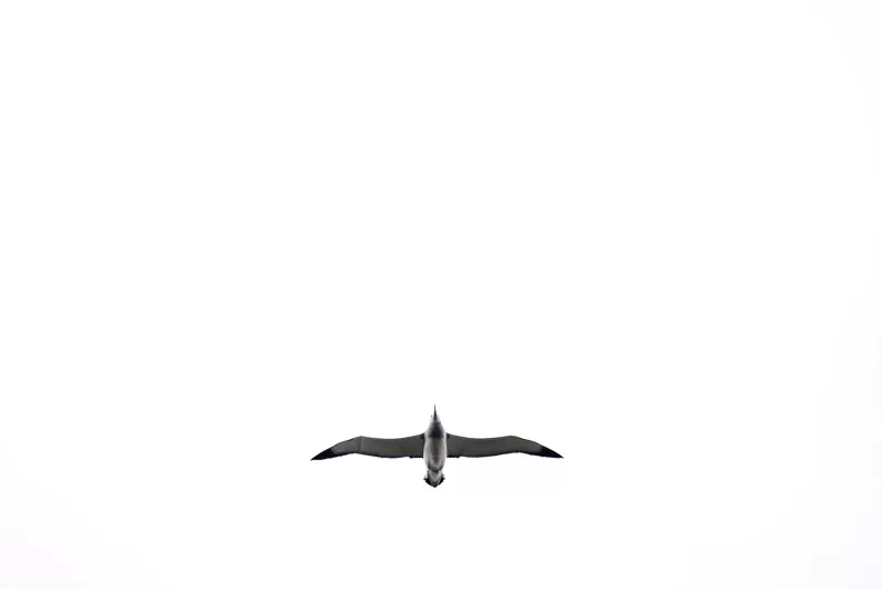 241230-_EZ90643WEB