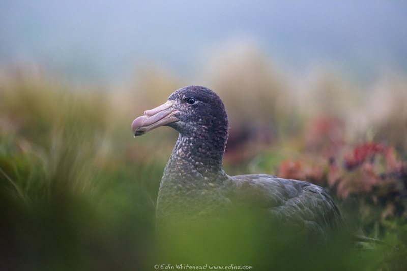 250107-_EZ93782WEB