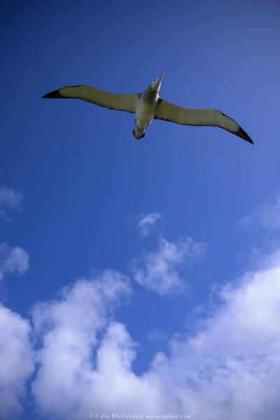 250108-_EZ95917WEB