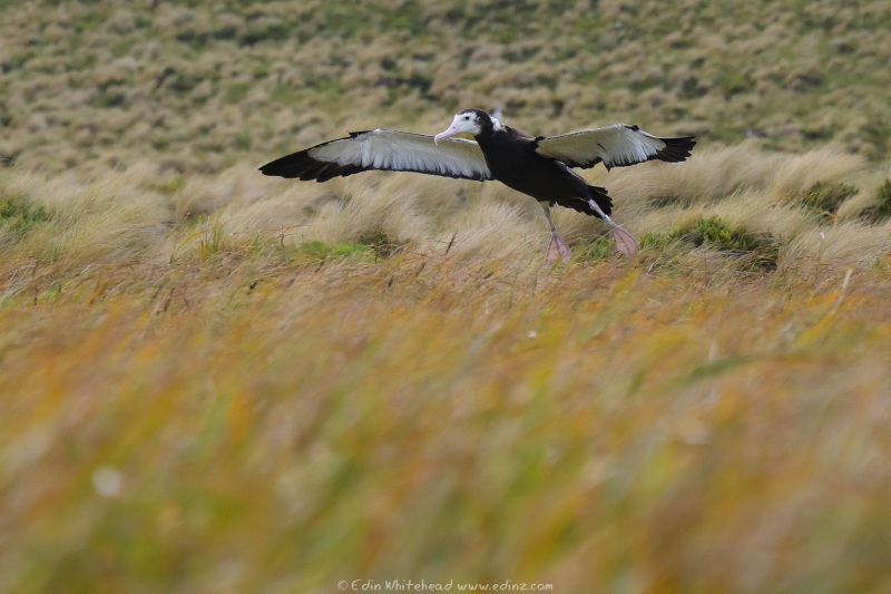 250114-_EZ97616WEB