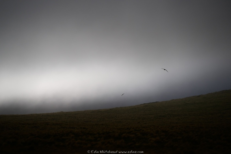 250115-_EZ99013WEB