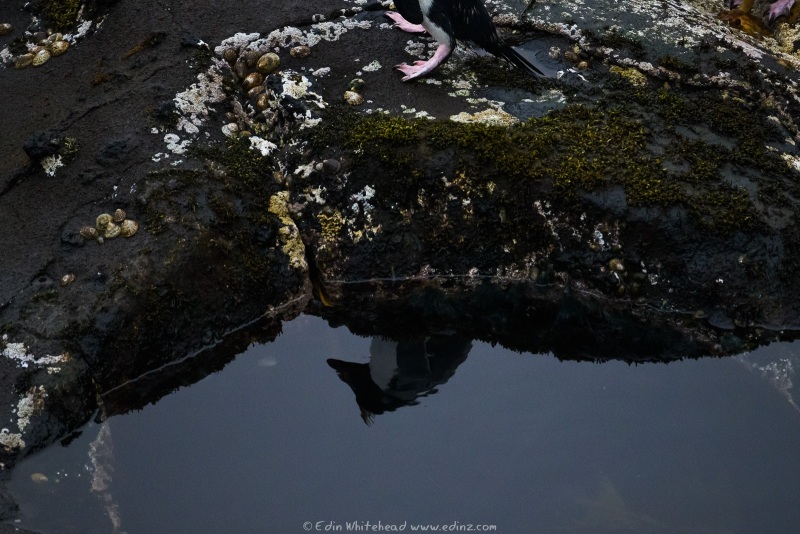 250117-_EZ92205WEB