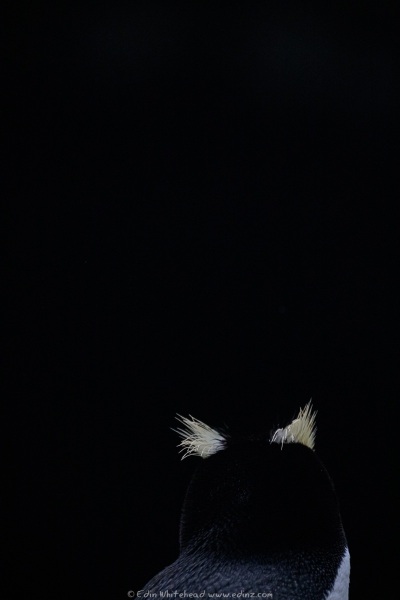 250117-_EZ92445WEB