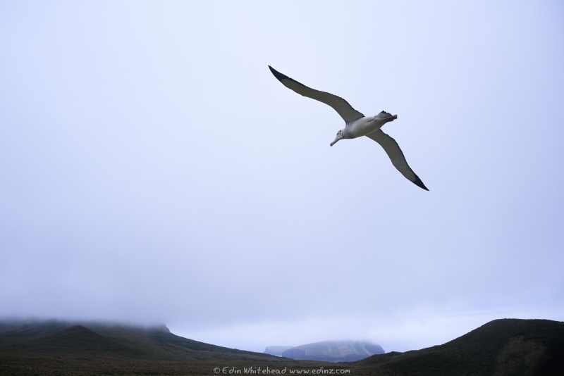250123-_EZ97513WEB
