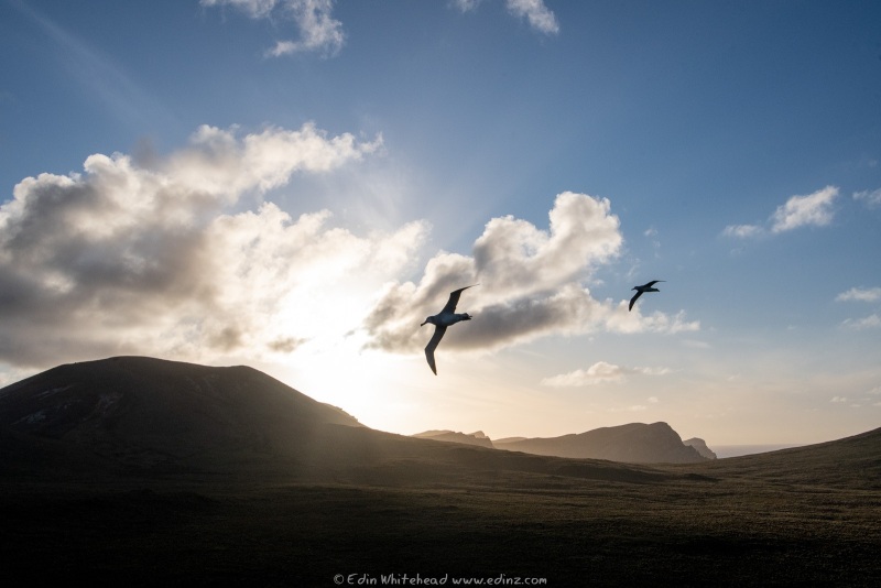 250124-EDZ_5554WEB