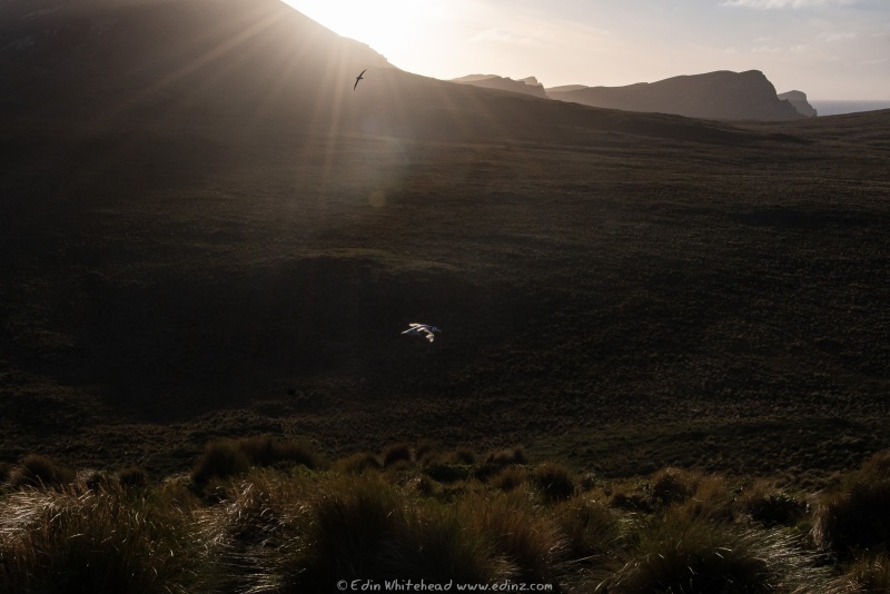 250124-EDZ_5596WEB