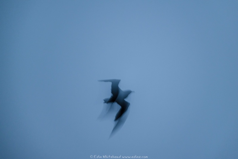 250126-_EZ94950WEB