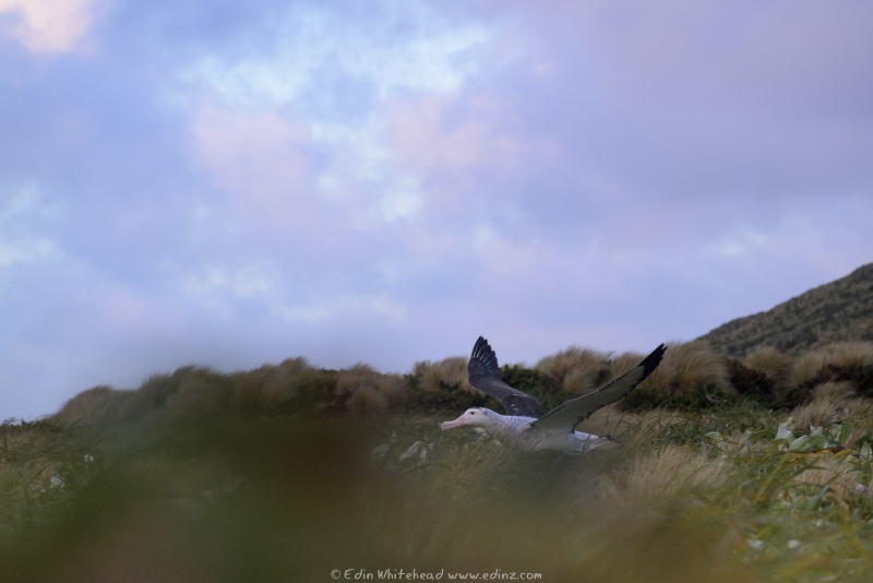 250127-_EZ95156WEB