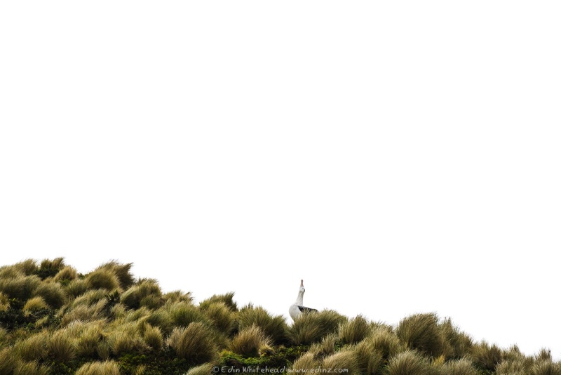 250201-_EZ91796WEB