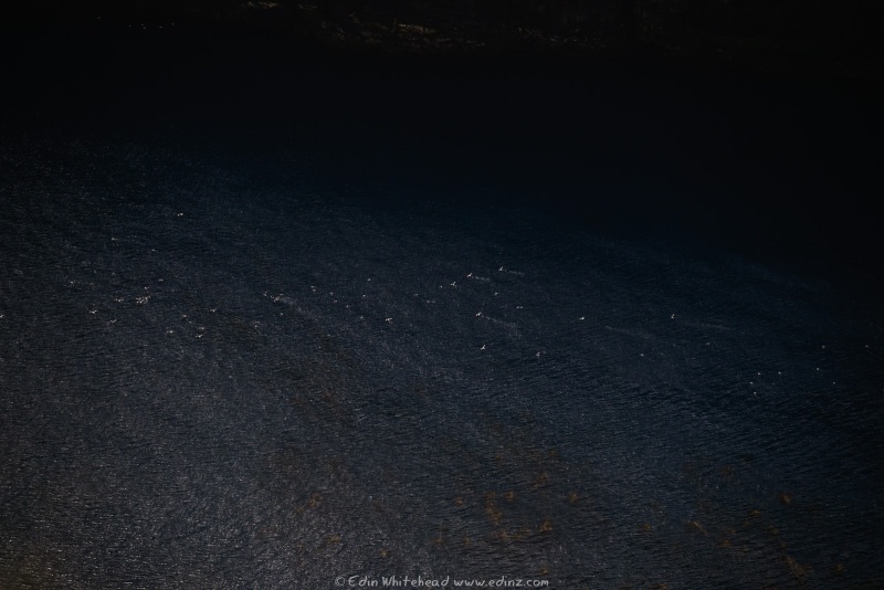 250201-_EZ92789WEB
