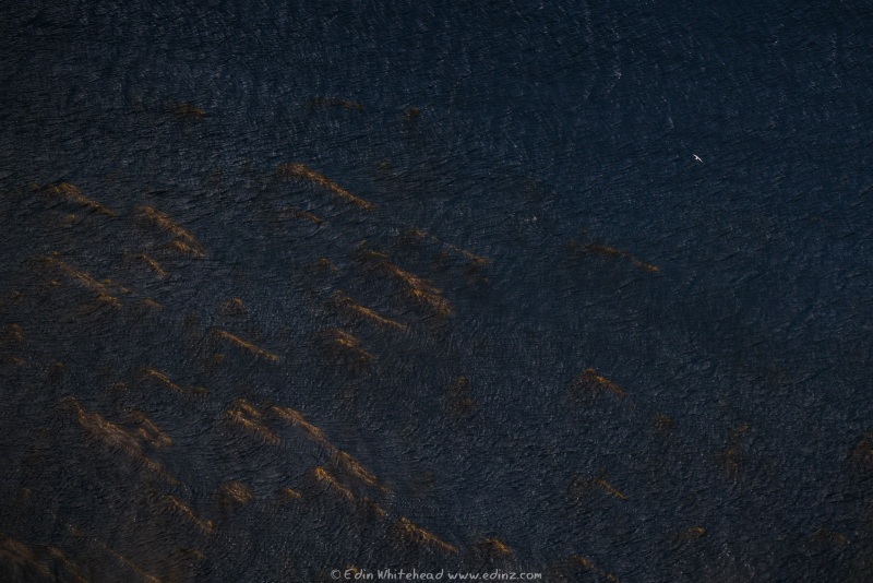 250201-_EZ92841WEB