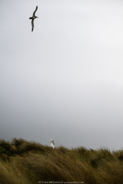 250201-_EZ96001WEB