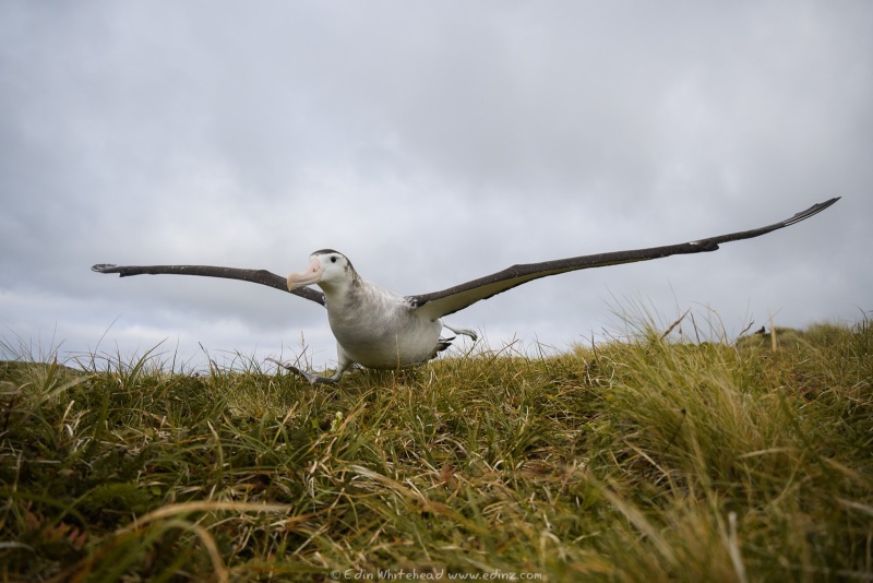 250205-_EZ96045WEB
