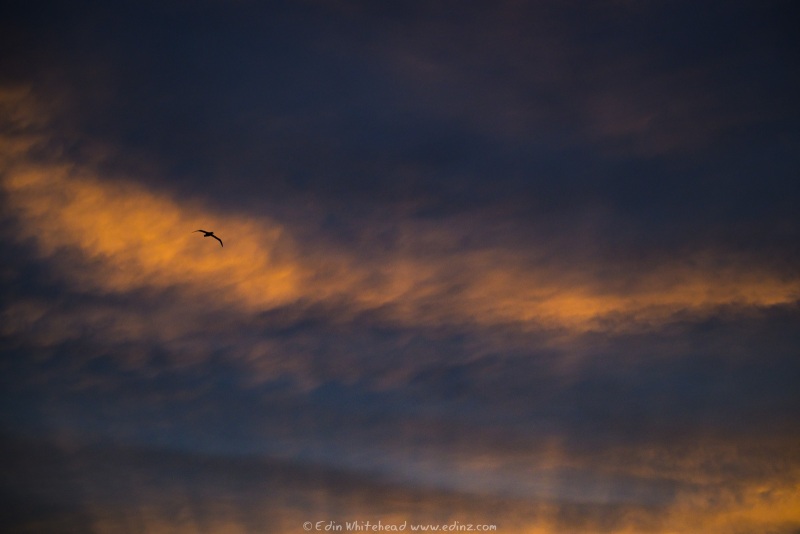 250214-_EZ95876WEB-1