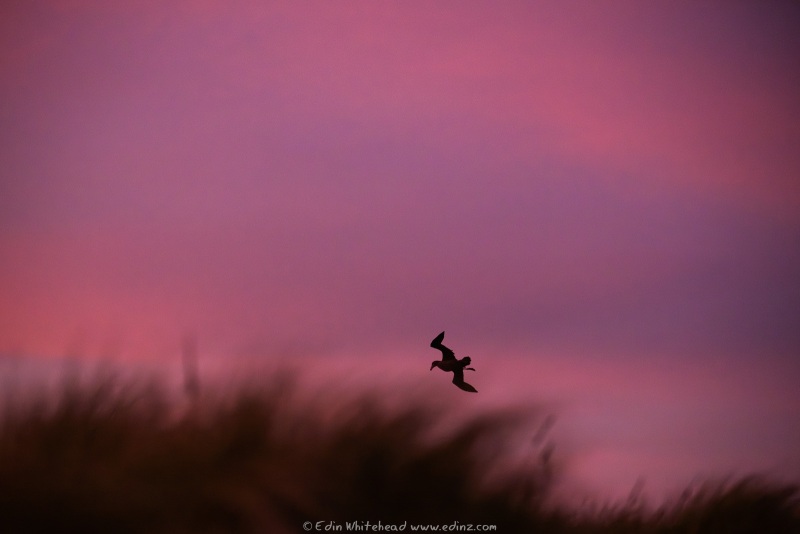 250214-_EZ95990-Enhanced-NRWEB