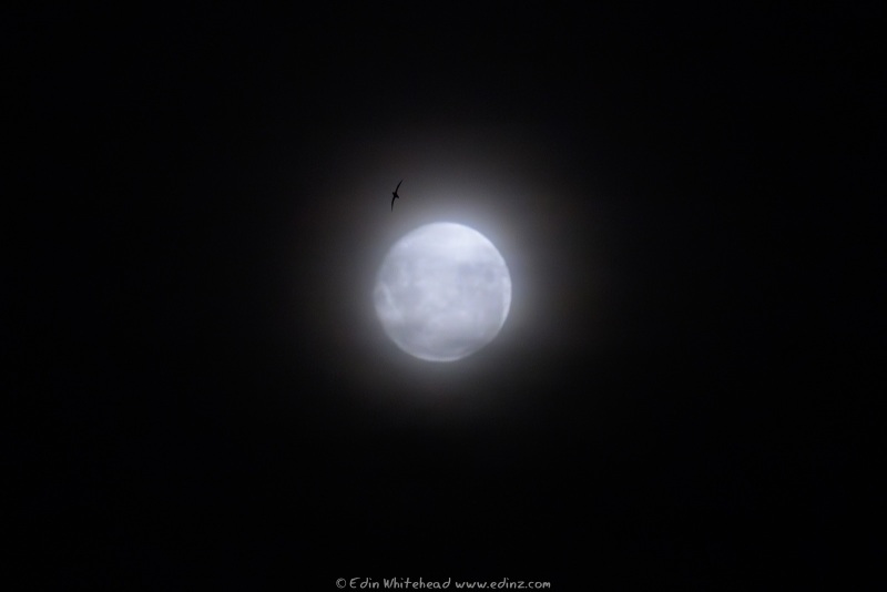 250214-_EZ96194-Enhanced-NRWEB