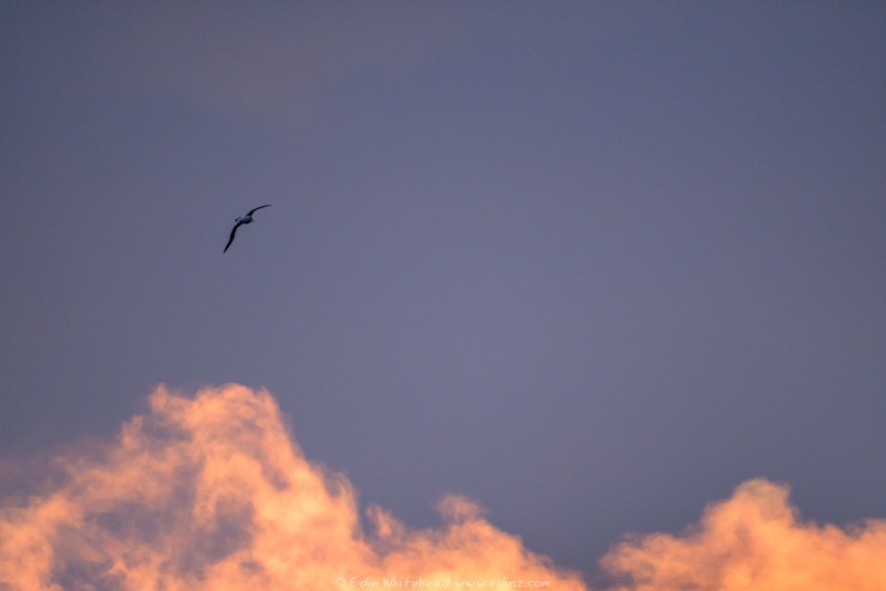 250215-_EZ97523WEB