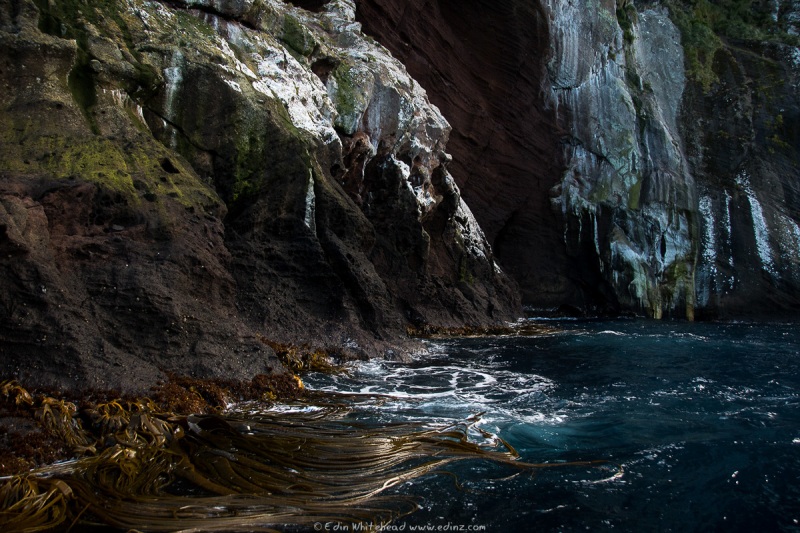 Antipodes shoreline