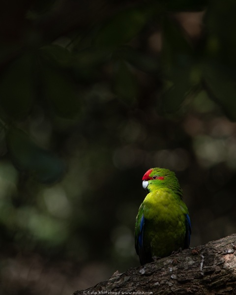 220330-EDZ_0111_WEB