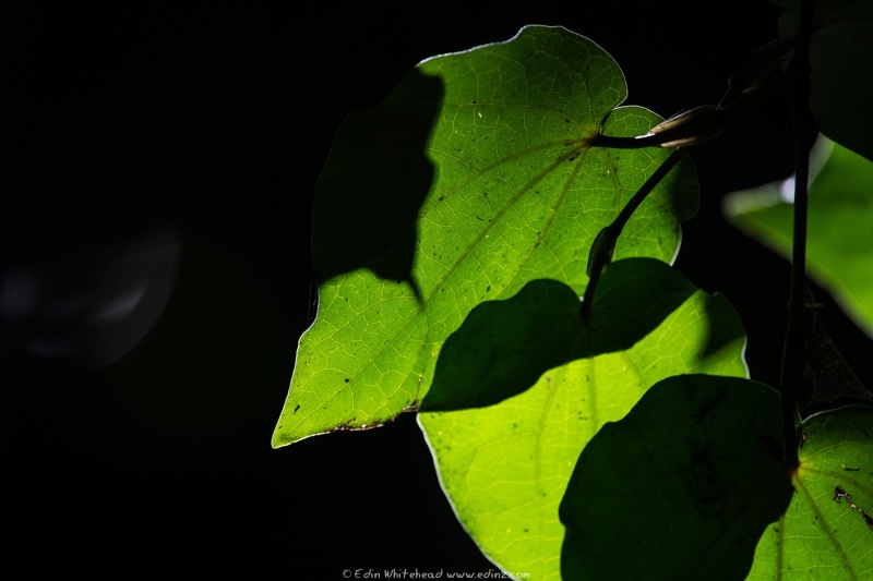 210217-EDZ_4480_WEB