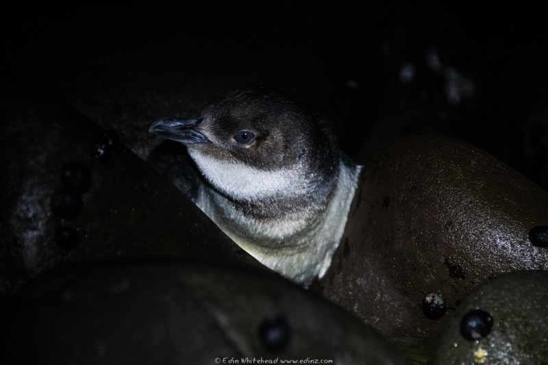 200916-EDZ_6476_WEB